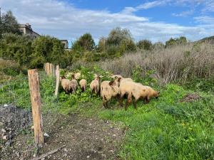 Les engagements chez Blard